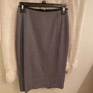 Express Pencil Skirt